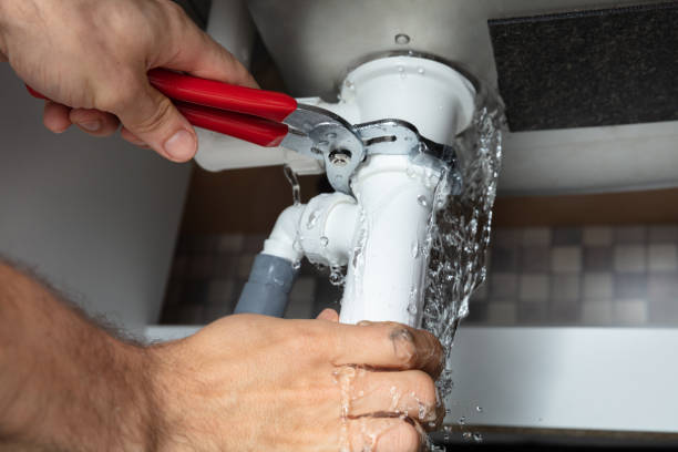Best Professional water damage repair  in Sheridan, CO