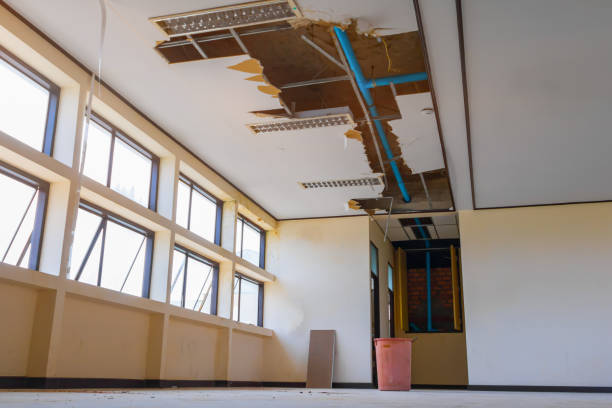 Best Water damage contractors near me  in Sheridan, CO