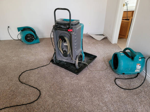 Best Flooded house restoration  in Sheridan, CO