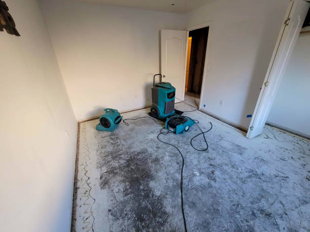 Best Flood damage cleanup  in Sheridan, CO