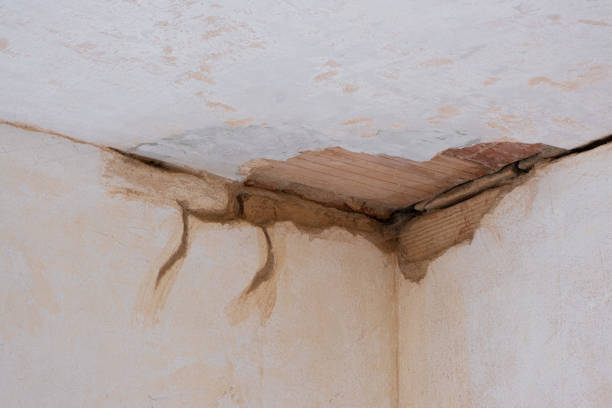 Best Basement water damage restoration  in Sheridan, CO