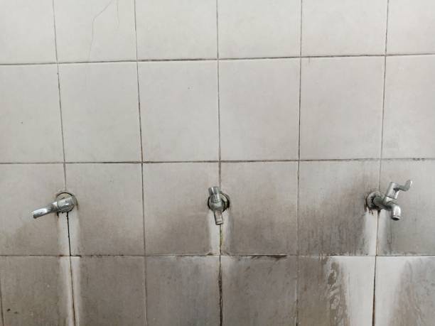 Best Carpet water damage restoration  in Sheridan, CO