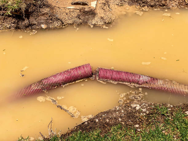 Carpet water damage restoration in Sheridan, CO